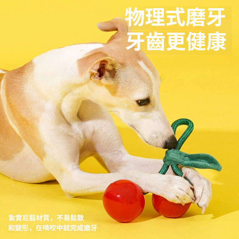 水果繩結耐咬玩具｜櫻桃＆橘子造型・磨牙潔齒・拔河互動狗狗玩具