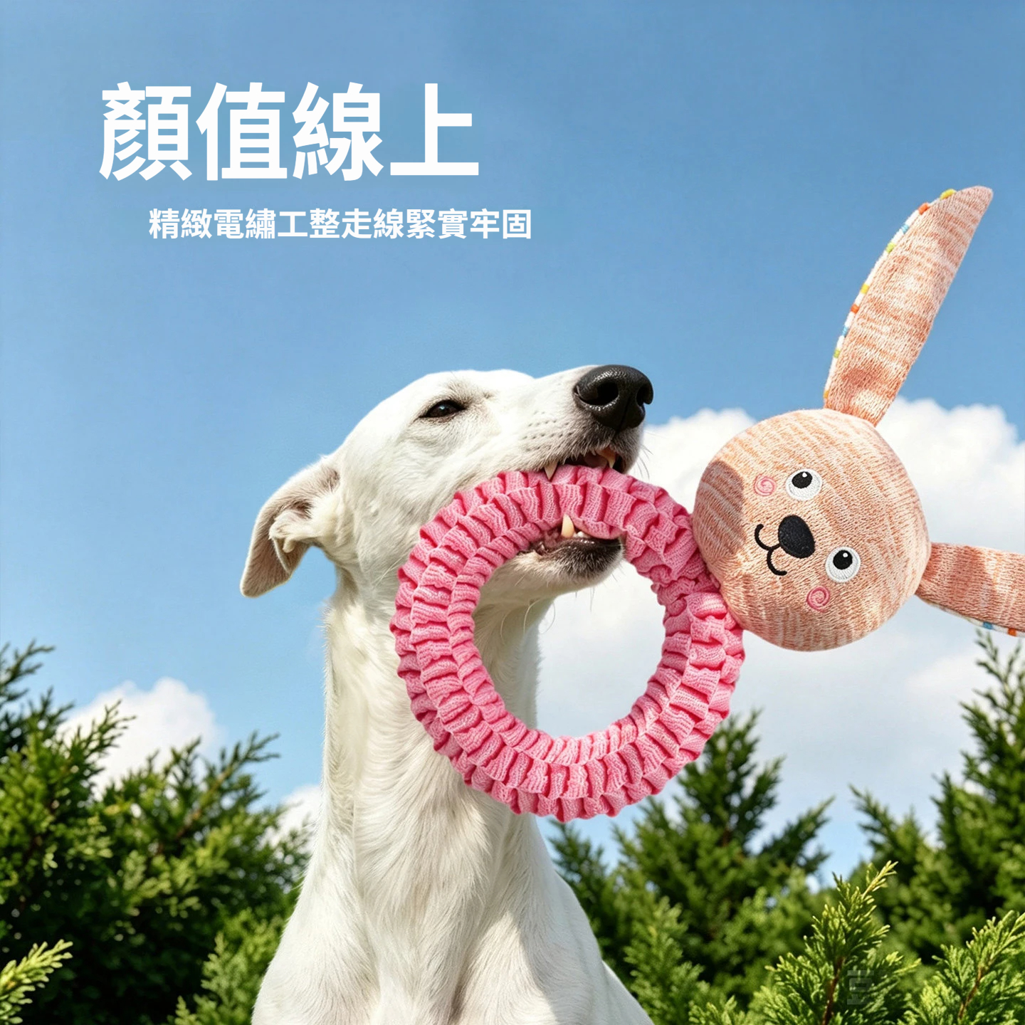 彩虹耳繩結圓環｜發聲藏食×磨牙潔齒×拔河互動 多功能狗狗玩具