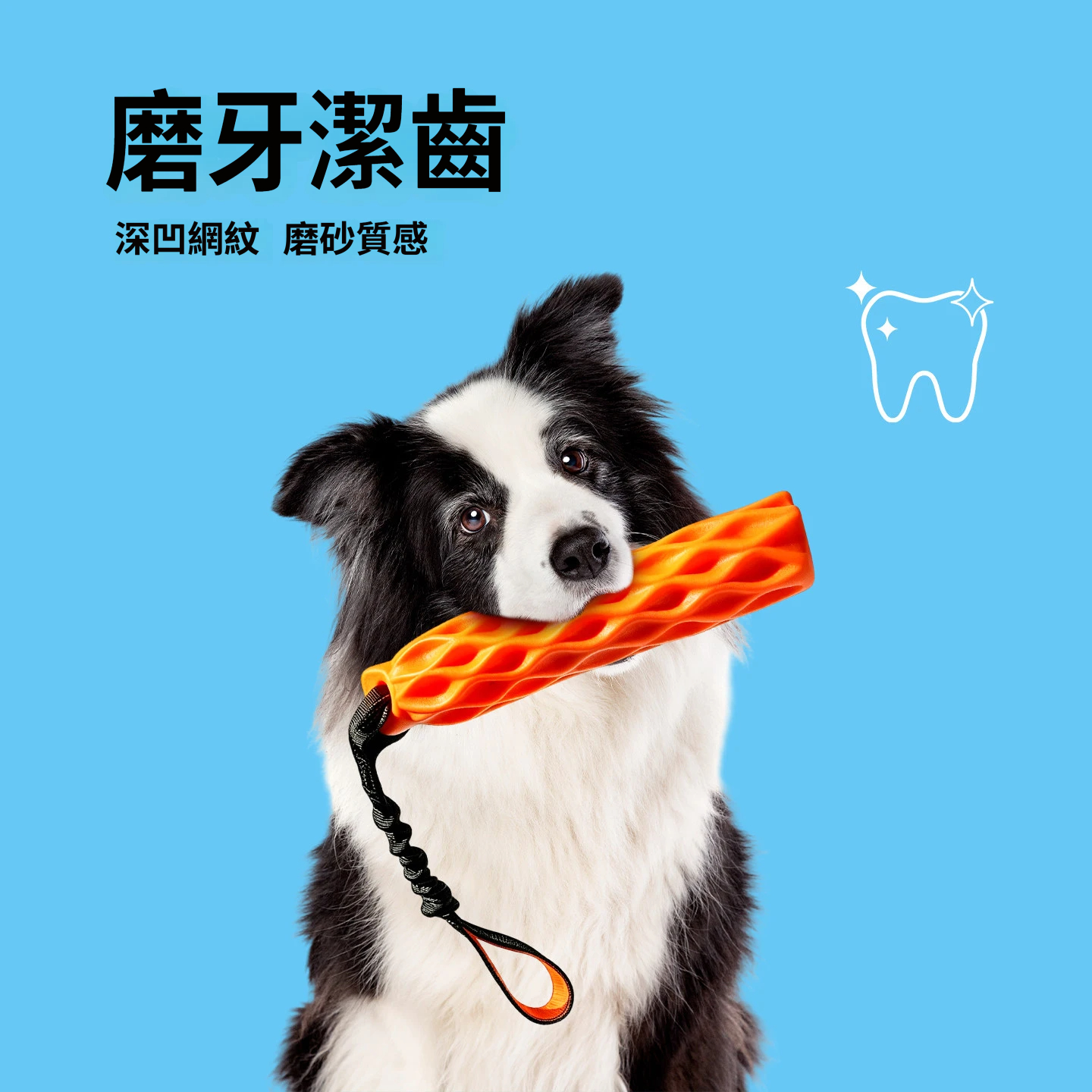 拉力網紋棒｜發聲磨牙・彈力拔河・互動耐咬狗狗玩具