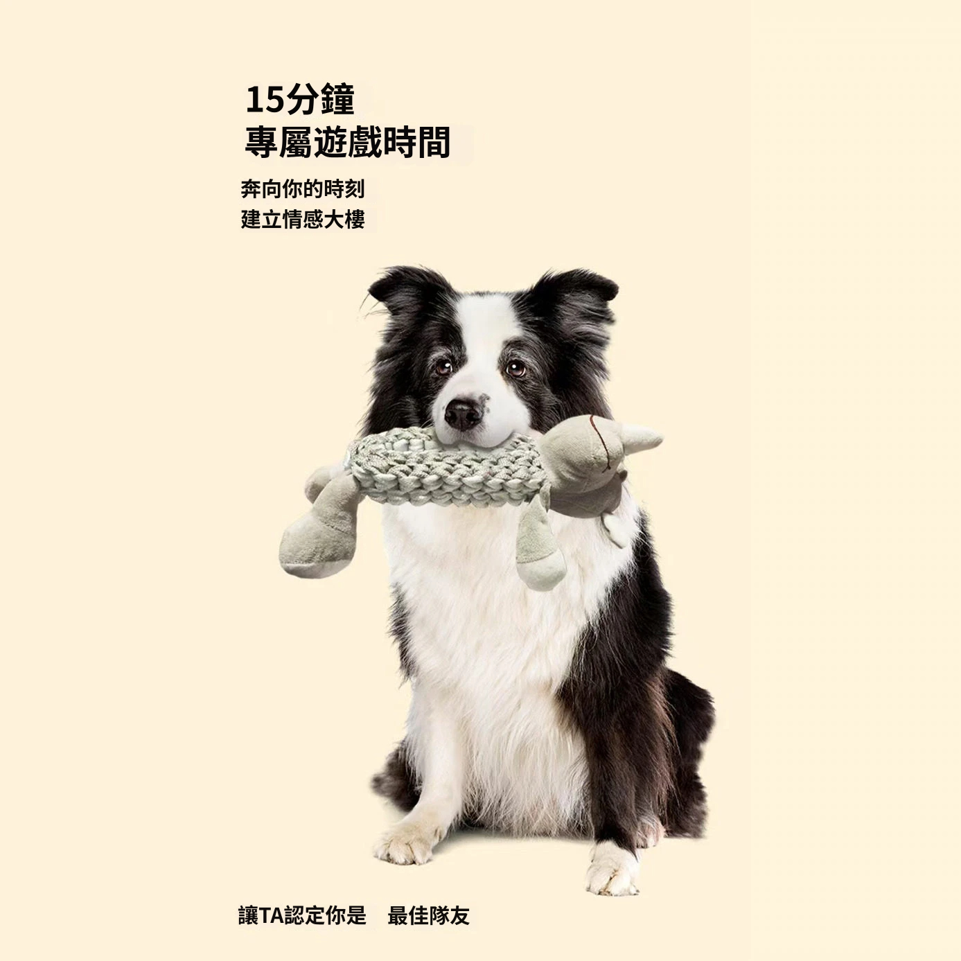 萌寵繩結發聲玩具｜長頸鹿・獅子・犀牛｜編織拉扯 × 啾啾發聲 × 陪玩互動