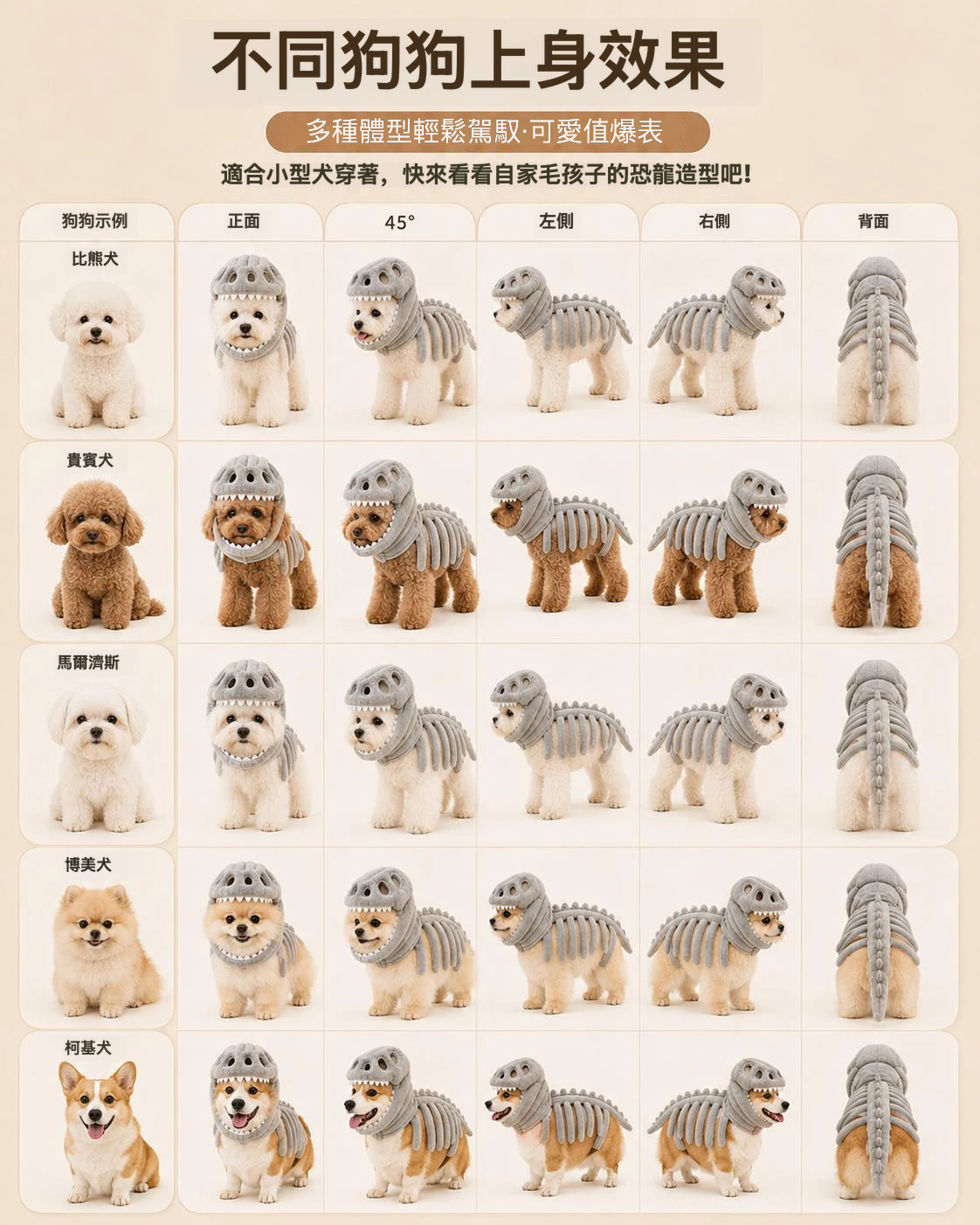 恐龍骨架寵物變裝套裝｜立體頭套＋骨架造型・狗狗搞怪穿搭