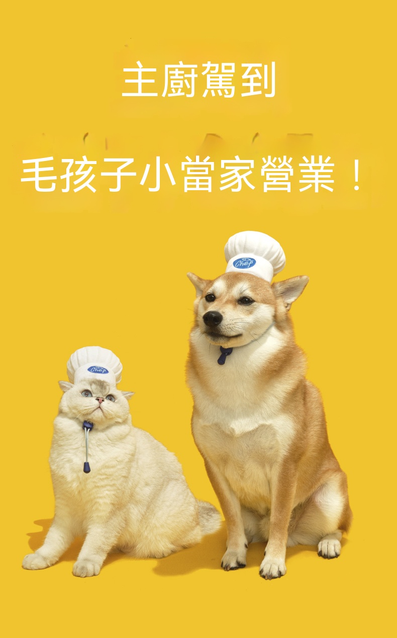 趣味寵物頭套｜可愛廚師造型拍照專用帽
