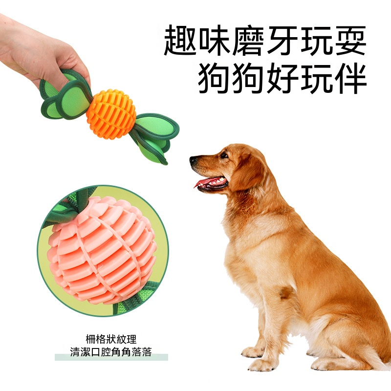 趣味漏食發聲球！TPU 耐咬材質 狗狗玩樂磨牙一兼二顧