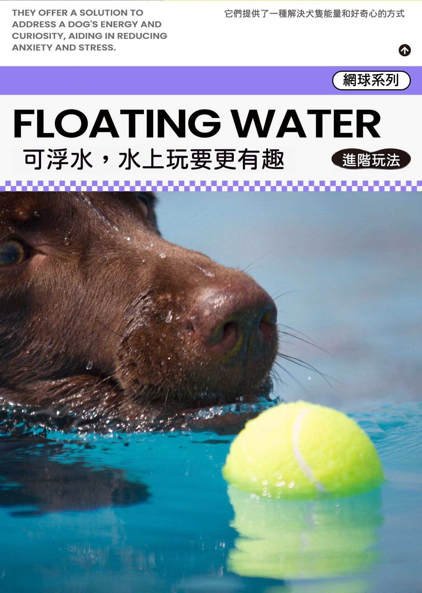 寵物專用彈力網球｜狗狗互動訓練玩具