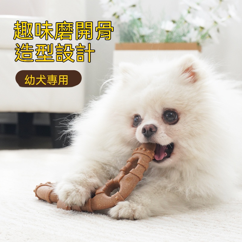 仿真骨頭磨牙棒 中小犬耐咬潔齒 獨處不無聊