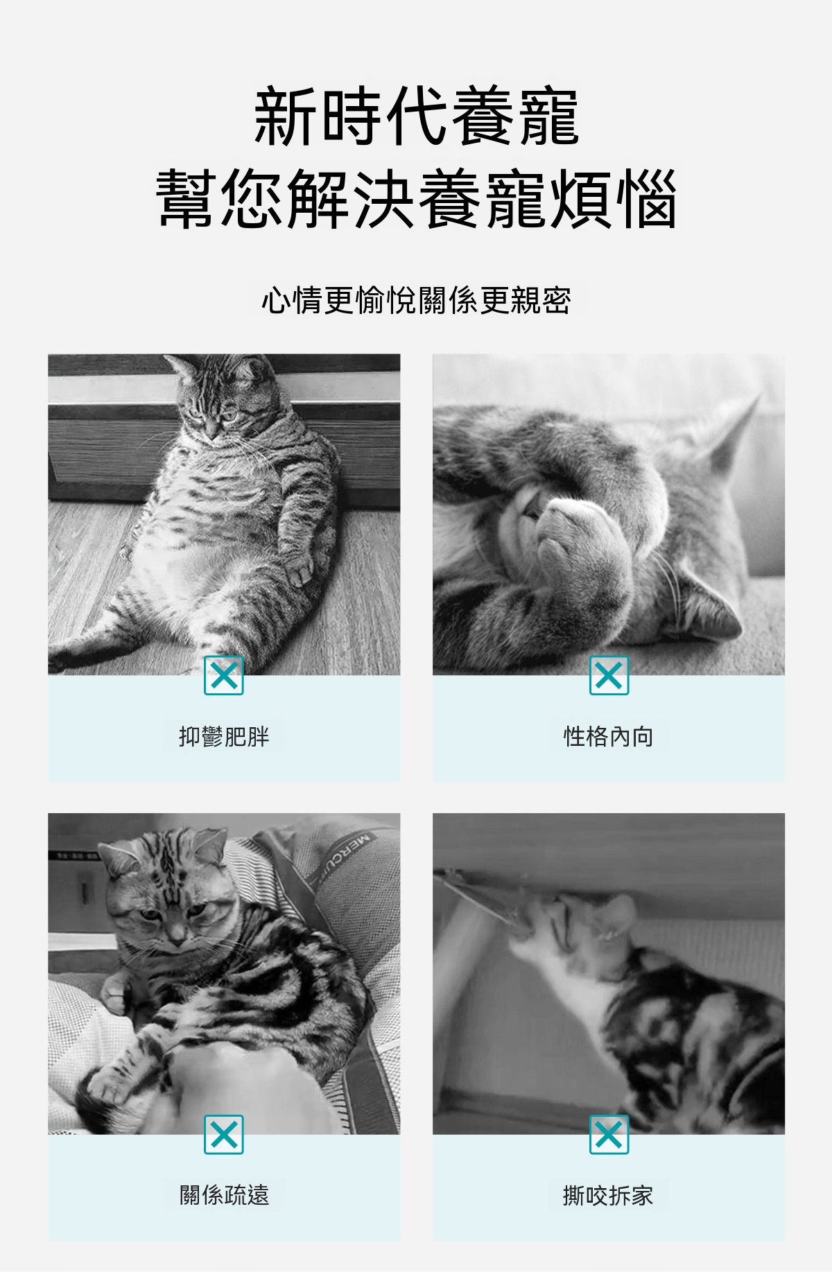 擬真發聲貓玩具