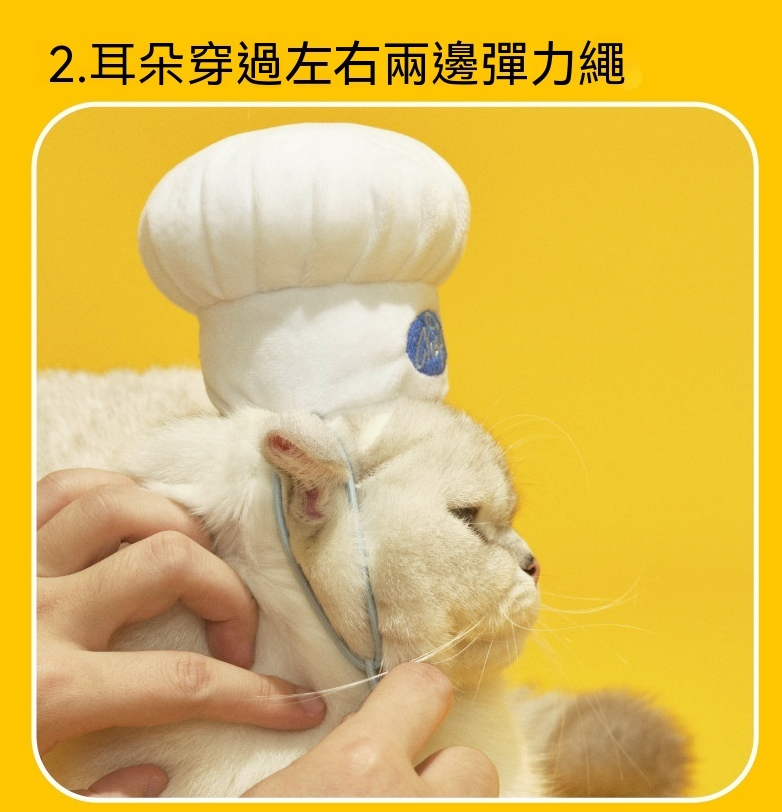 趣味寵物頭套｜可愛廚師造型拍照專用帽
