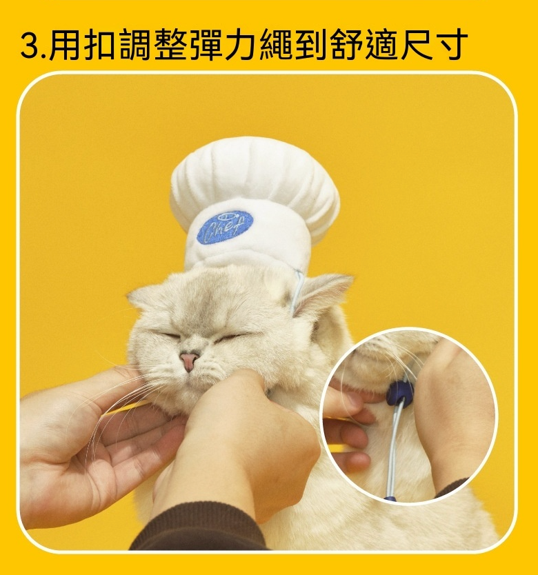 趣味寵物頭套｜可愛廚師造型拍照專用帽