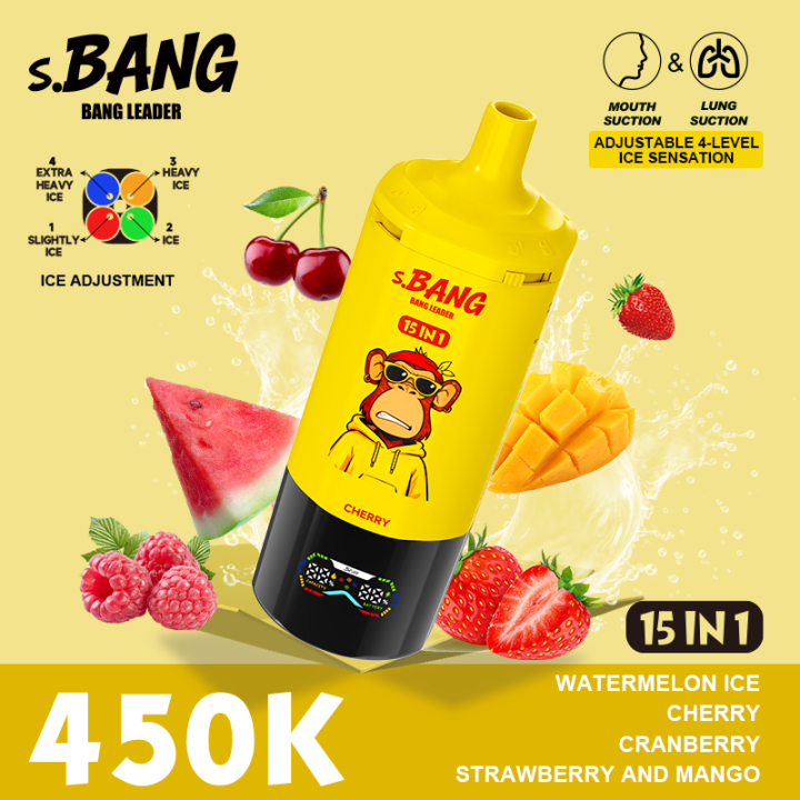 BANG LEADER STOLL 450K Puffs 15 in 1