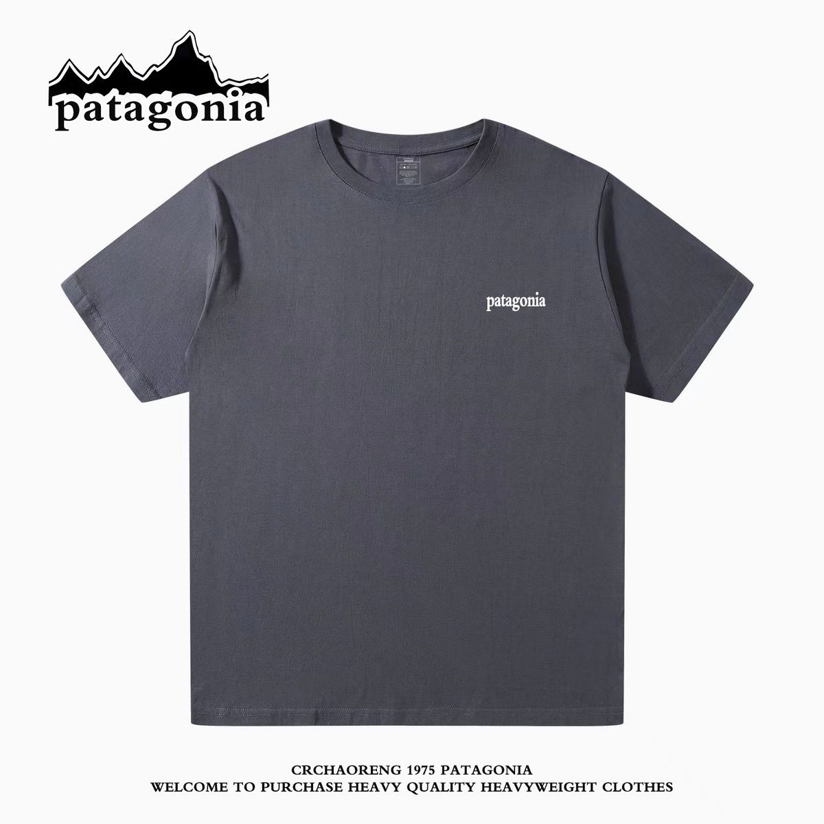 Patagoniaパタゴニア夏定番純綿半袖Tシャツゆったりカジュアル