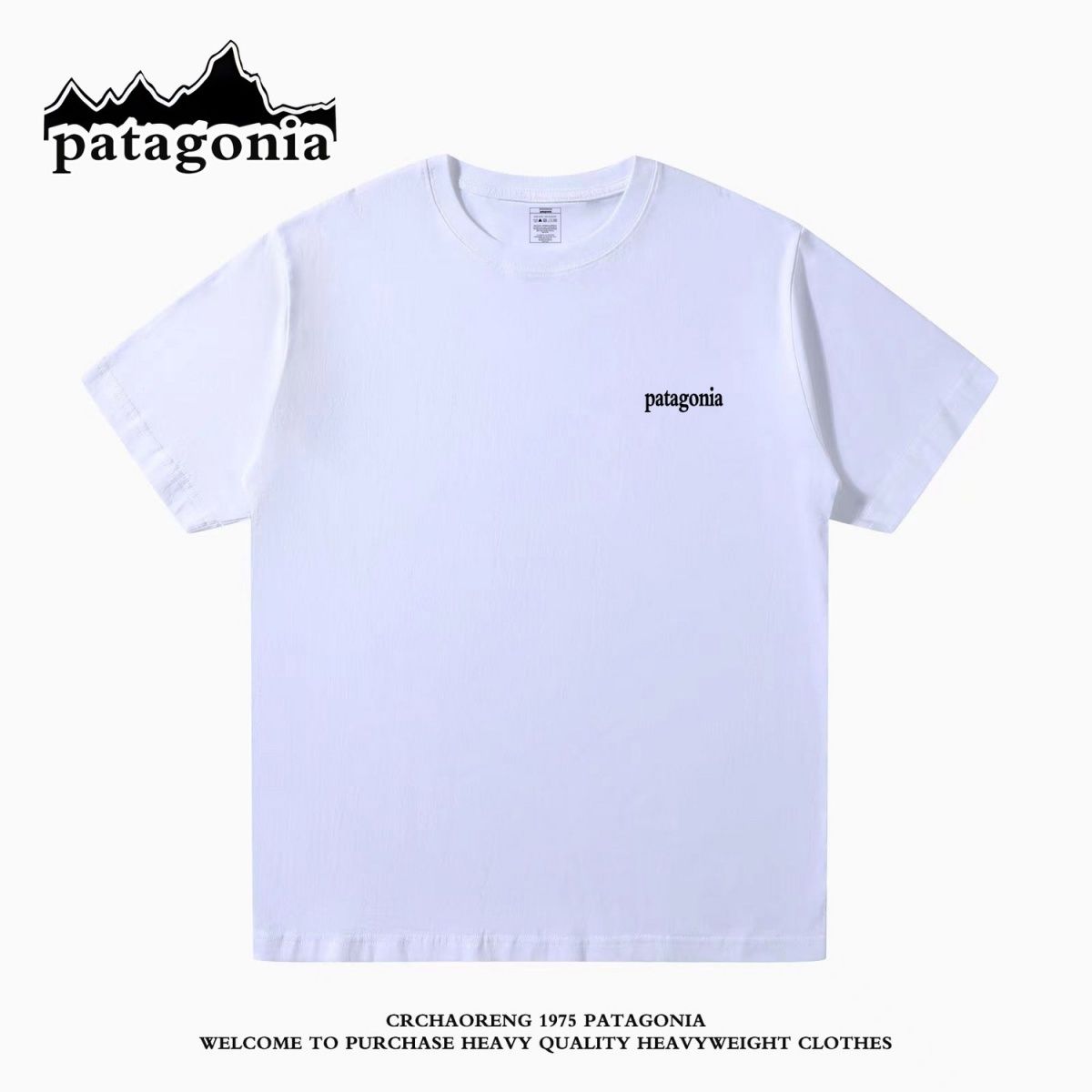 Patagoniaパタゴニア夏定番純綿半袖Tシャツゆったりカジュアル