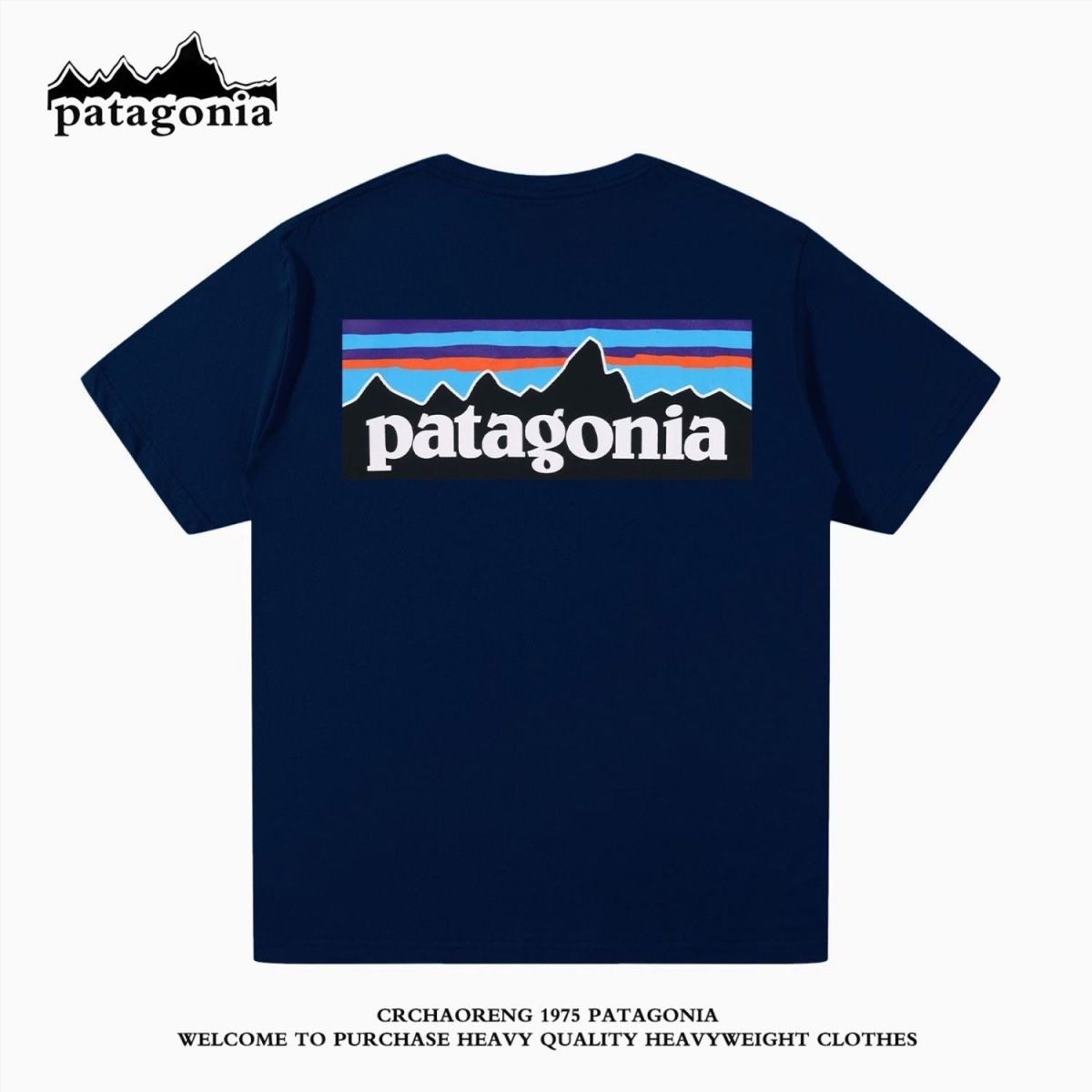 Patagoniaパタゴニア夏定番純綿半袖Tシャツゆったりカジュアル
