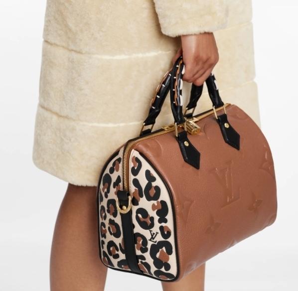 Louis Vuitton スピーディ・バンドリエール 25
