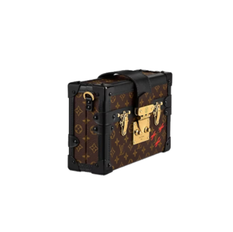 【LOUIS VUITTON】LVPetile Malleハードケース 2023新製品