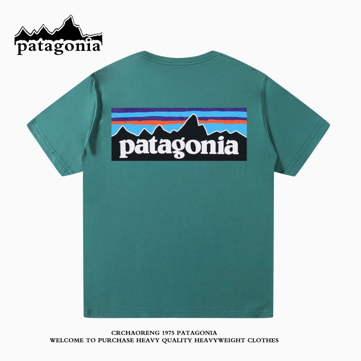 Patagoniaパタゴニア夏定番純綿半袖Tシャツゆったりカジュアル