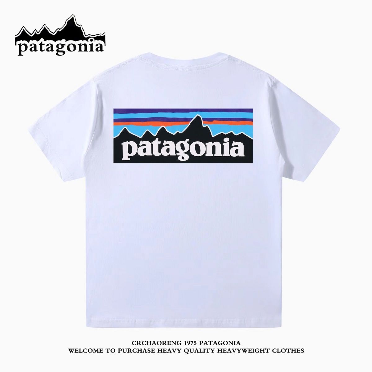 Patagoniaパタゴニア夏定番純綿半袖Tシャツゆったりカジュアル