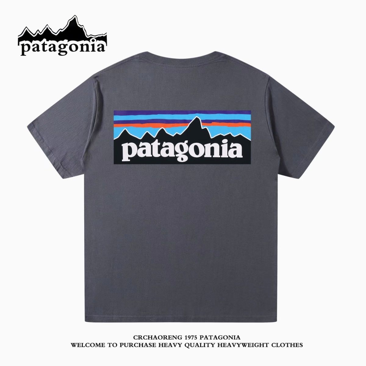 Patagoniaパタゴニア夏定番純綿半袖Tシャツゆったりカジュアル