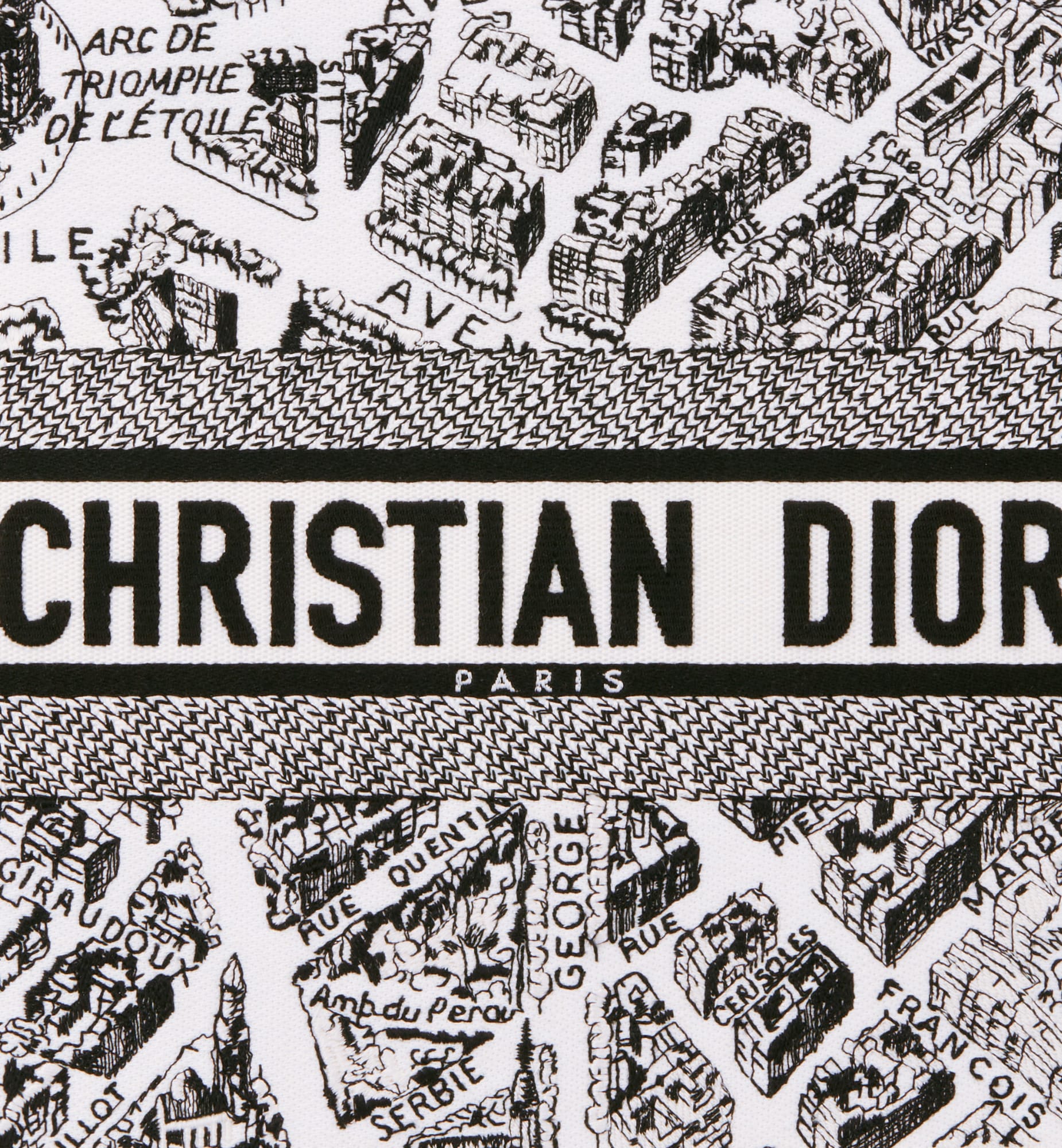 DIOR直営店 23SS Plan de Paris ブックトート ミディアム