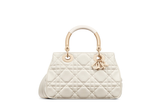📣2023年春夏の新作「DIOR-Lady 95.22」がリリース。😍高揚感をくれるバッグ、使い勝手も抜群！心ときめく新鮮さと、時代を超えて愛される普遍性。