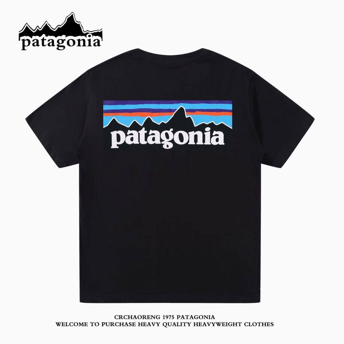 Patagoniaパタゴニア夏定番純綿半袖Tシャツゆったりカジュアル