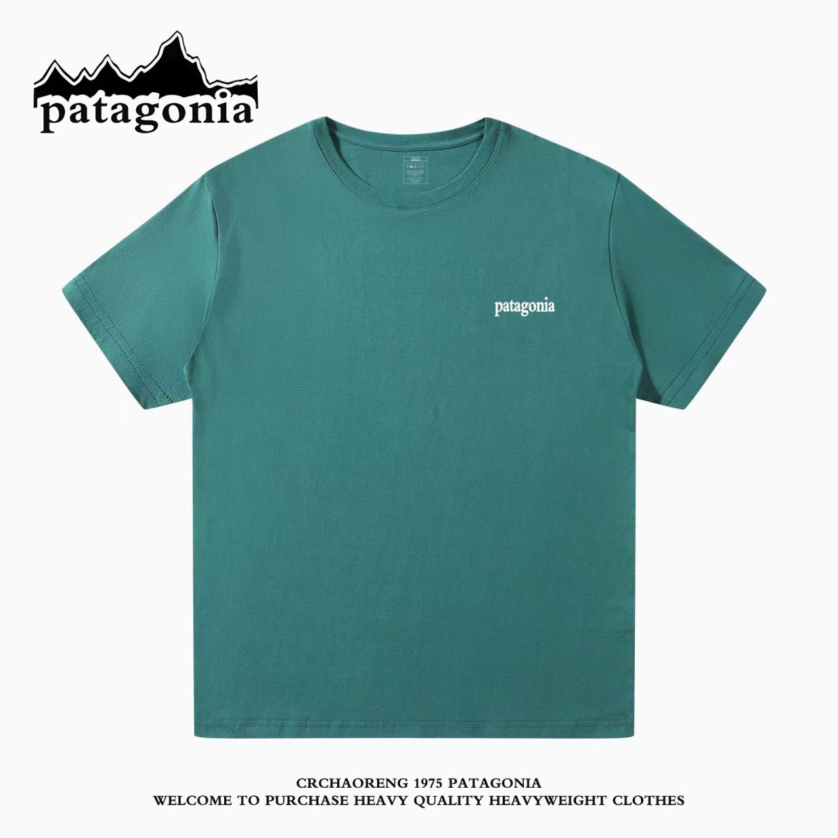 Patagoniaパタゴニア夏定番純綿半袖Tシャツゆったりカジュアル