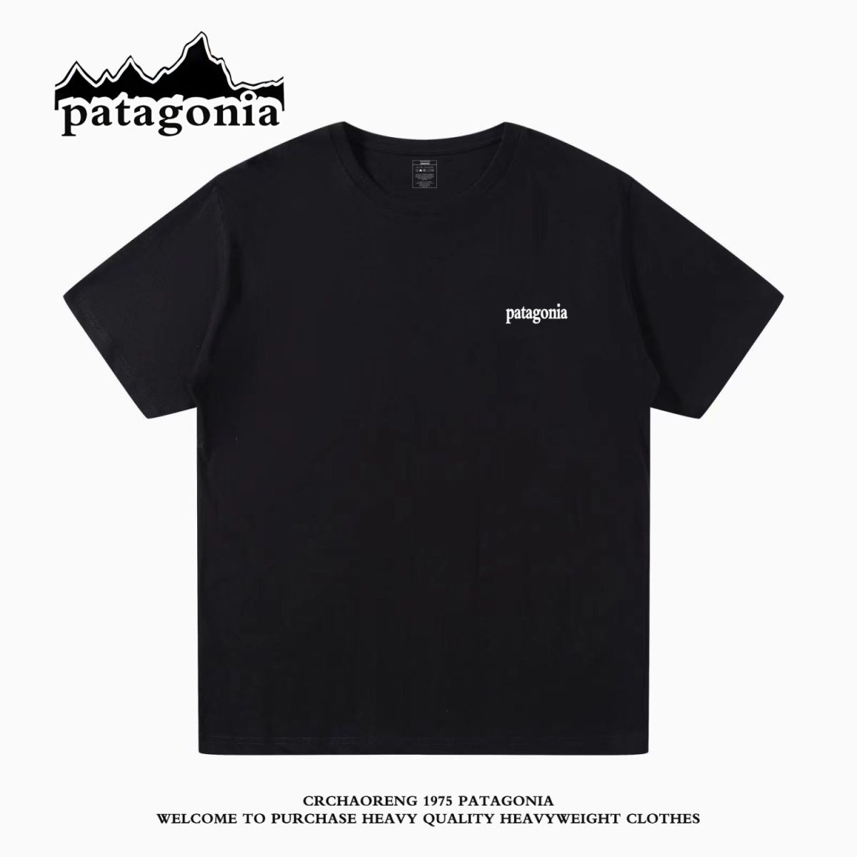 Patagoniaパタゴニア夏定番純綿半袖Tシャツゆったりカジュアル