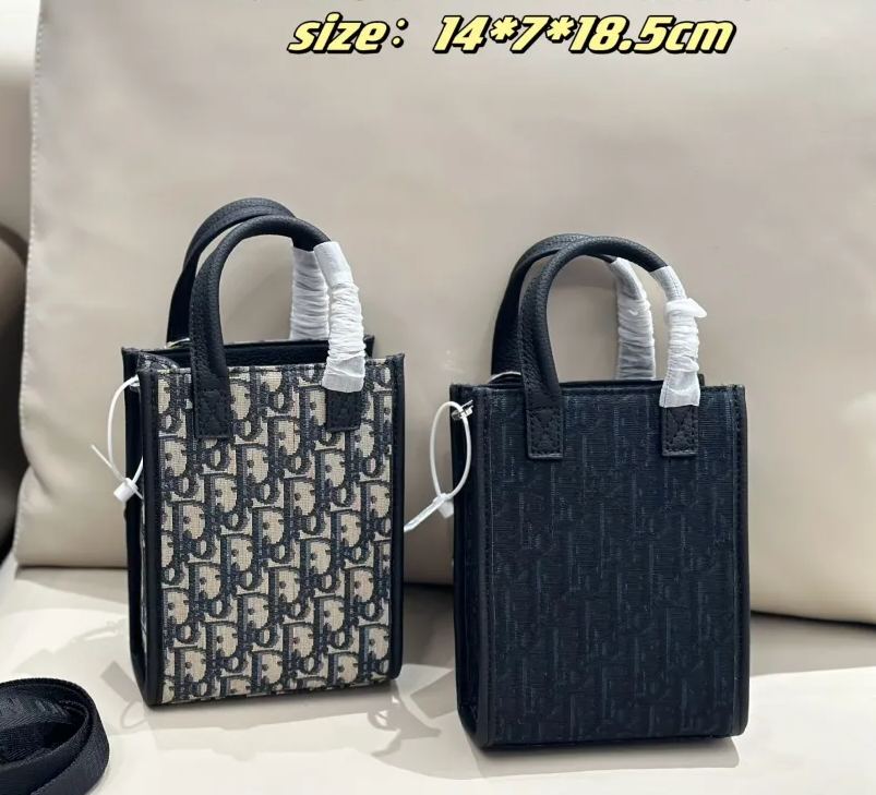 《24SS新作★》DIOR Safari ノースサウス ミニトートバッグ