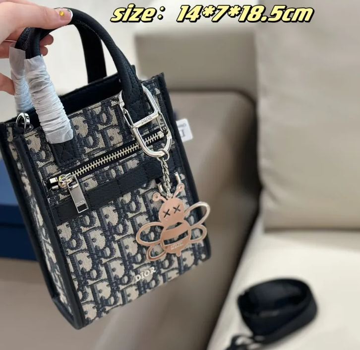 《24SS新作★》DIOR Safari ノースサウス ミニトートバッグ