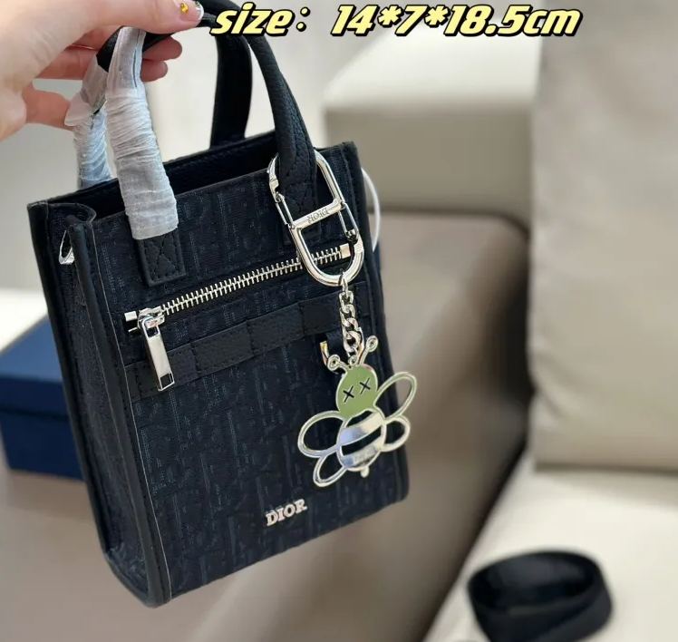 《24SS新作★》DIOR Safari ノースサウス ミニトートバッグ
