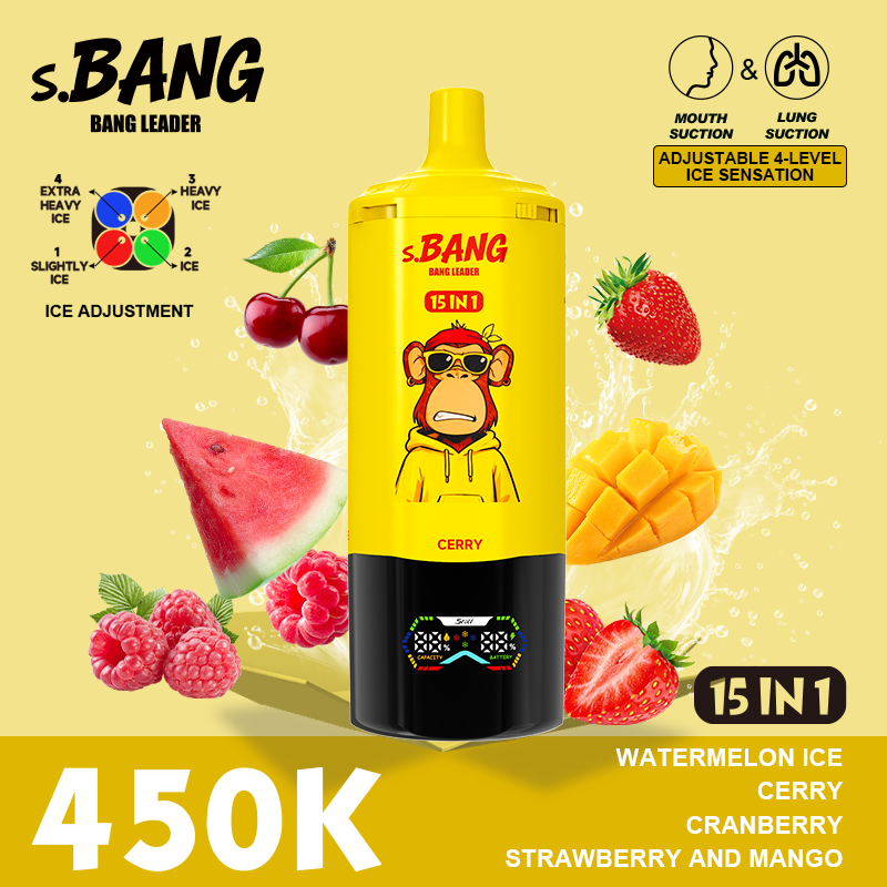 BANG LEADER STOLL 450K Puffs 15 in 1