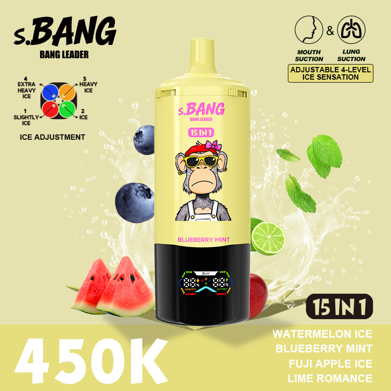 BANG LEADER STOLL 450K Puffs 15 in 1