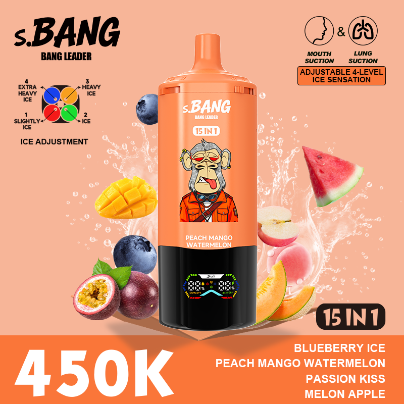 BANG LEADER STOLL 450K Puffs 15 in 1