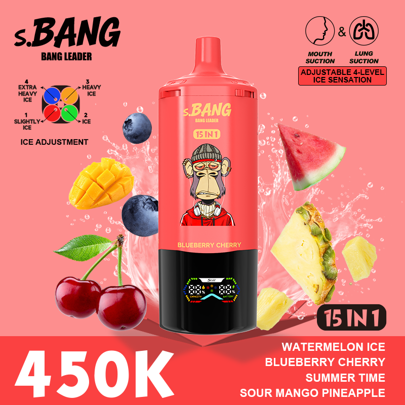 BANG LEADER STOLL 450K Puffs 15 in 1