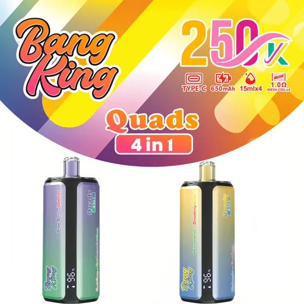 BANG KING 250K Puffs DSK074 Quads 4in1 Tastes