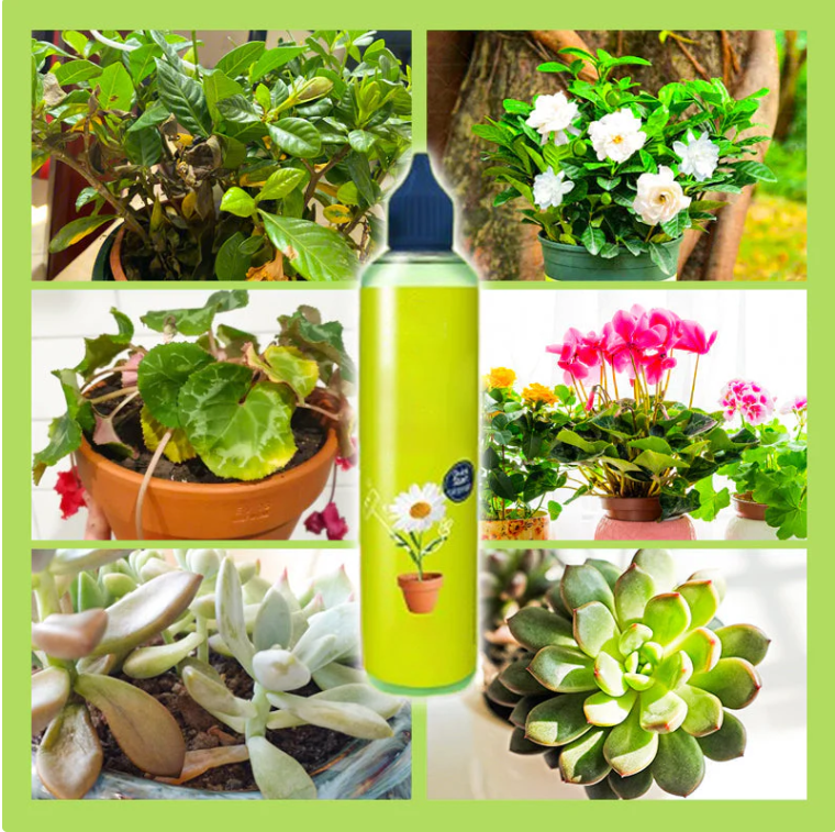 🌿【All-Purpose Indoor & Outdoor Plant Nutrient】—One bottle in hand, the world is yours!🌱🏡✨