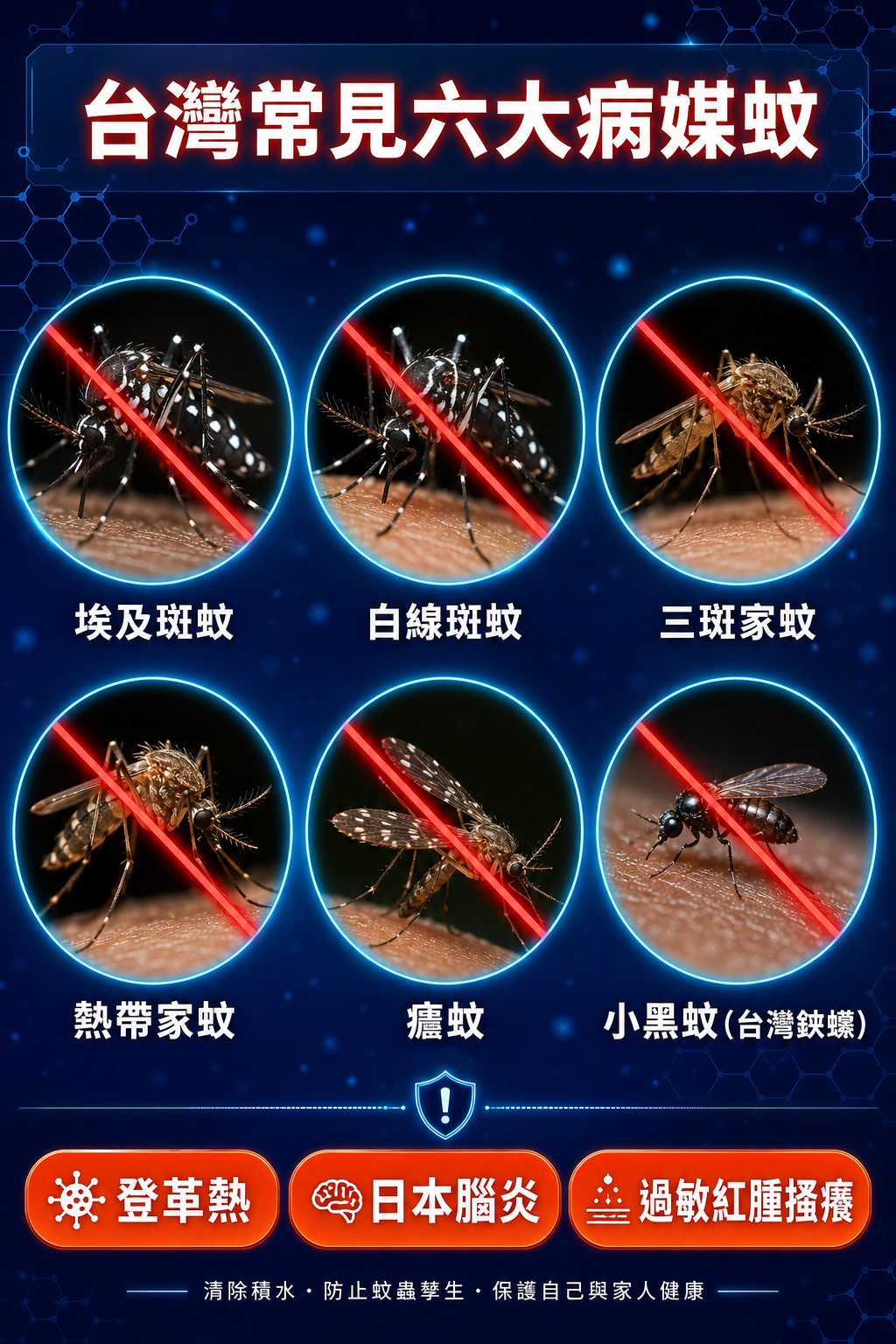 560c6905a7aceda4cbcd197b5653d8b9.png