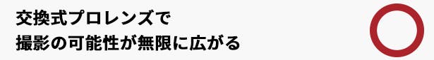 交換式レンズ対応