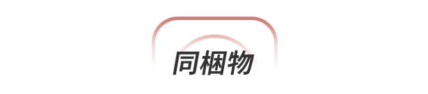 FotorGear Retro DMF 使用方法