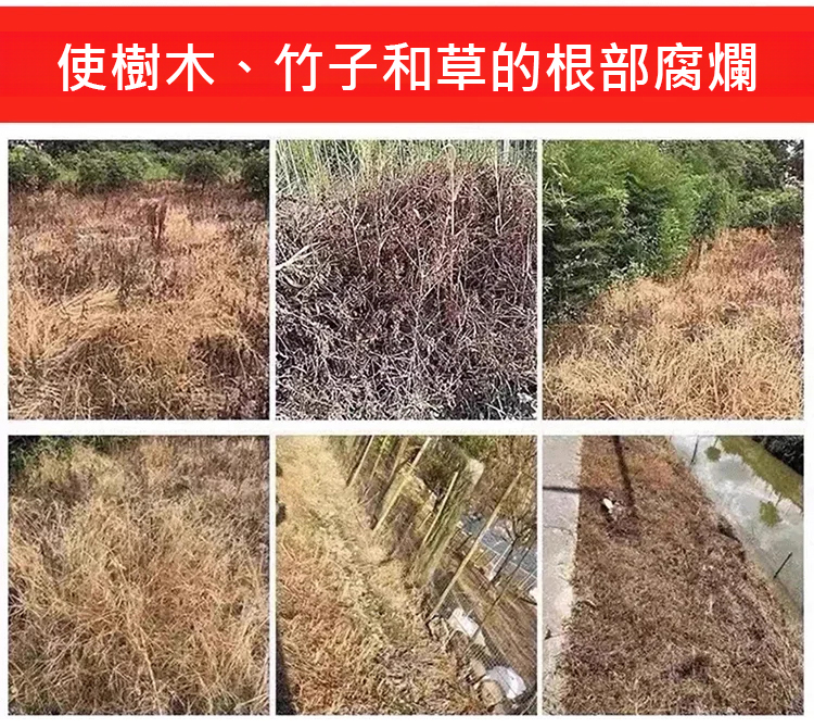 翻译件-JS-园艺植物小帮手-1245515-系统(1)_08.jpg