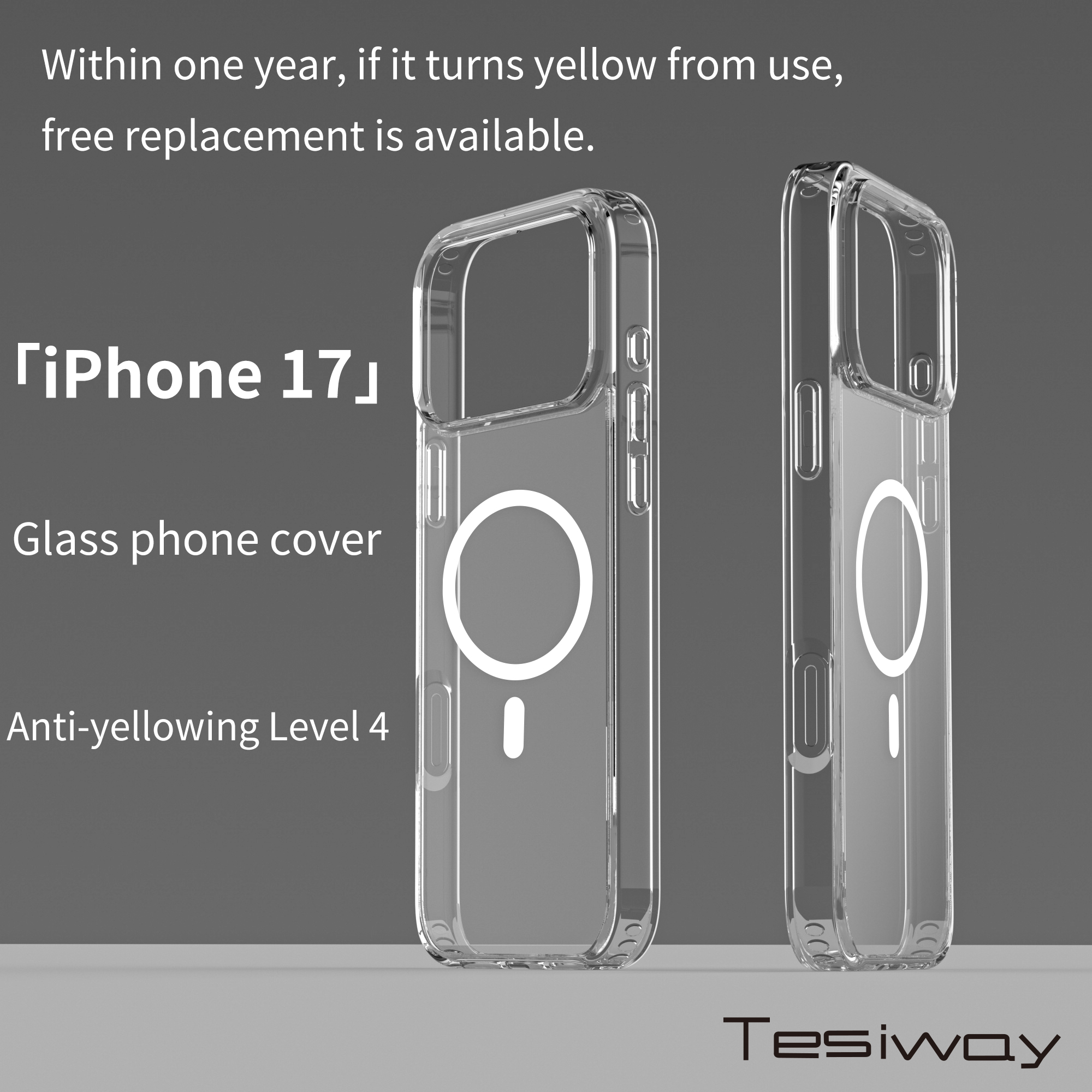 Tesiway Magnetic iPhone Case