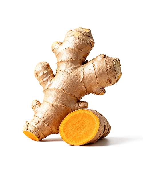 Curcuma Longa