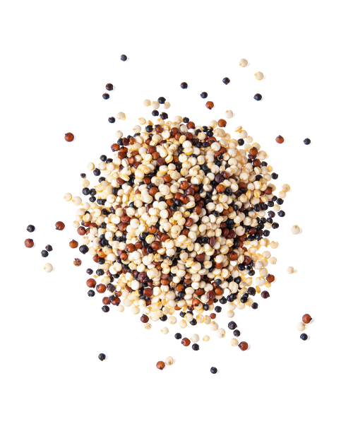 Quinoa