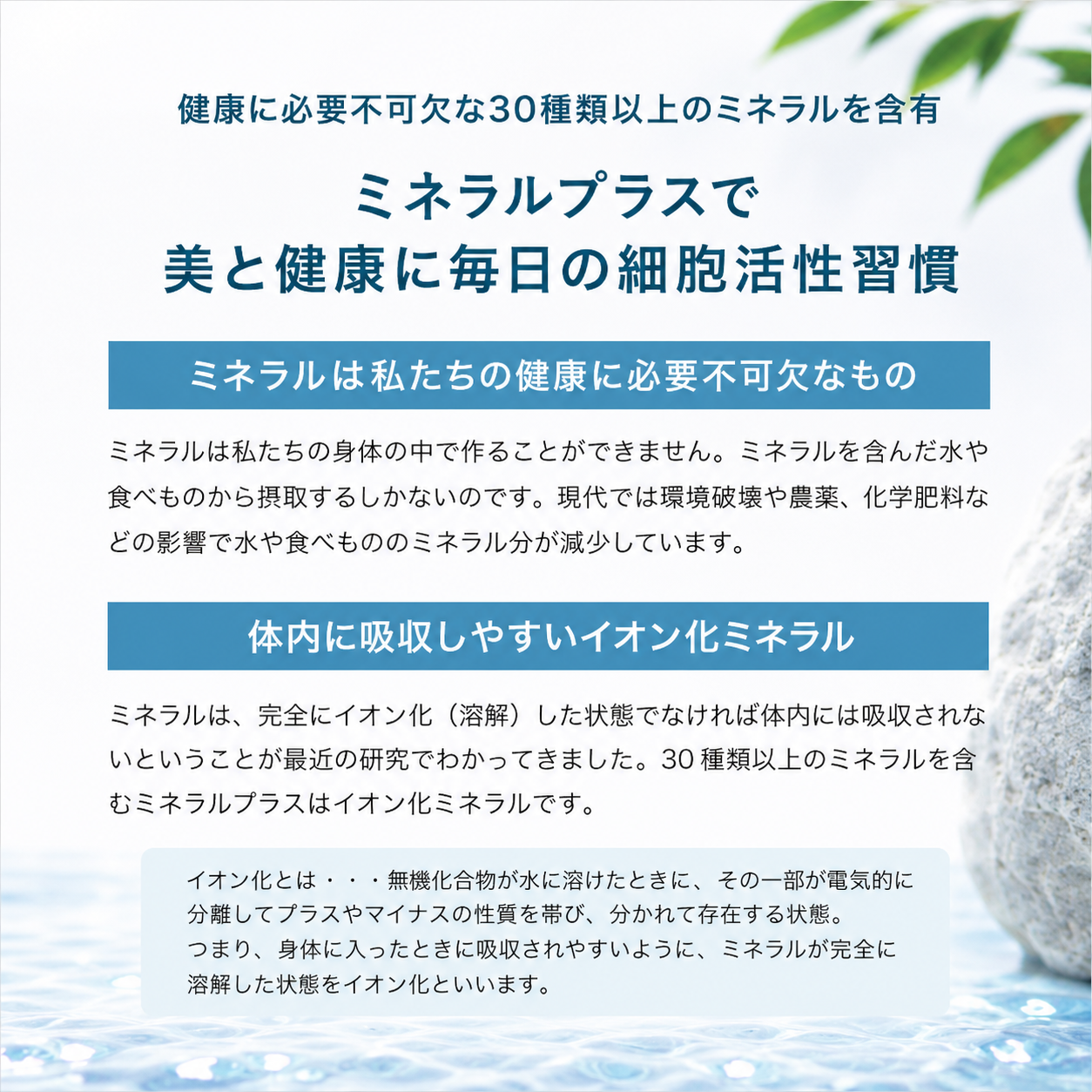 ミネラルプラス（100ml×2本）