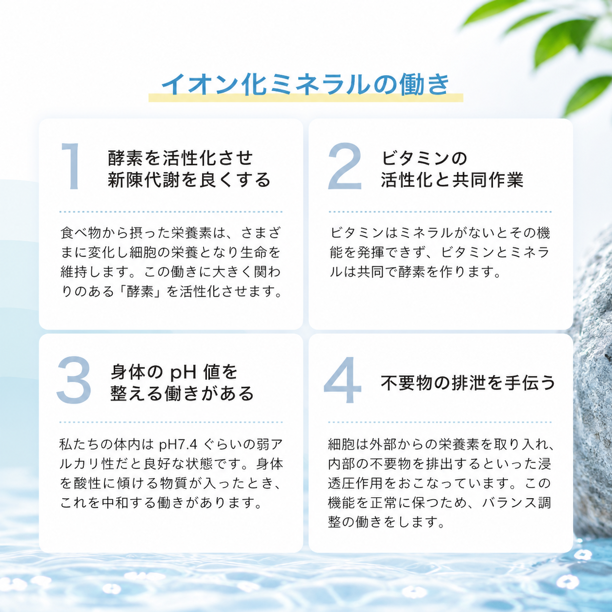 ミネラルプラス（100ml×2本）
