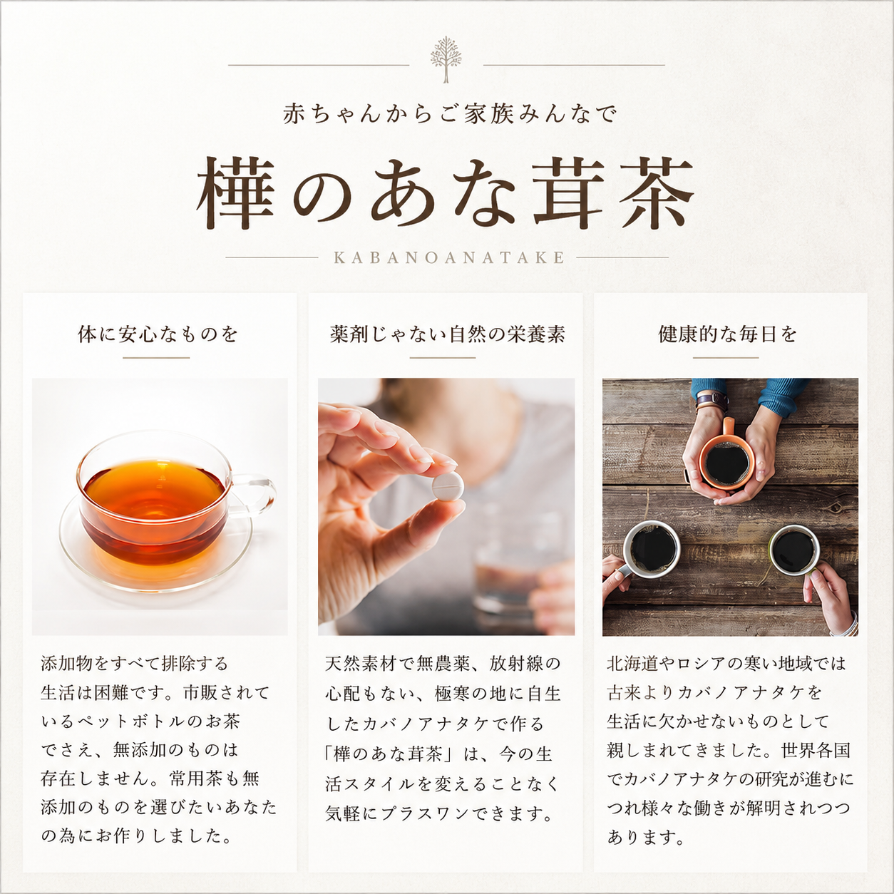樺のあなたけ茶（チャーガ茶）１箱 36パック入り
