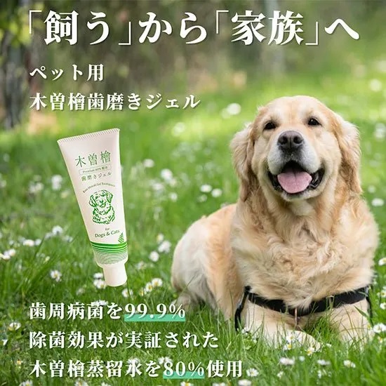 ペット用 木曽檜 歯磨きジェル 120g