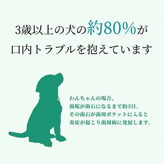 ペット用 木曽檜 歯磨きジェル 120g