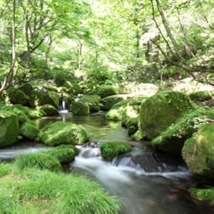 天然水 ミネラルウォーター 水 水　500ml 南アルプス 南アルプスの天然水 サントリー天然水 サントリー　南アルプス 水　500ml 水　ペットボトル