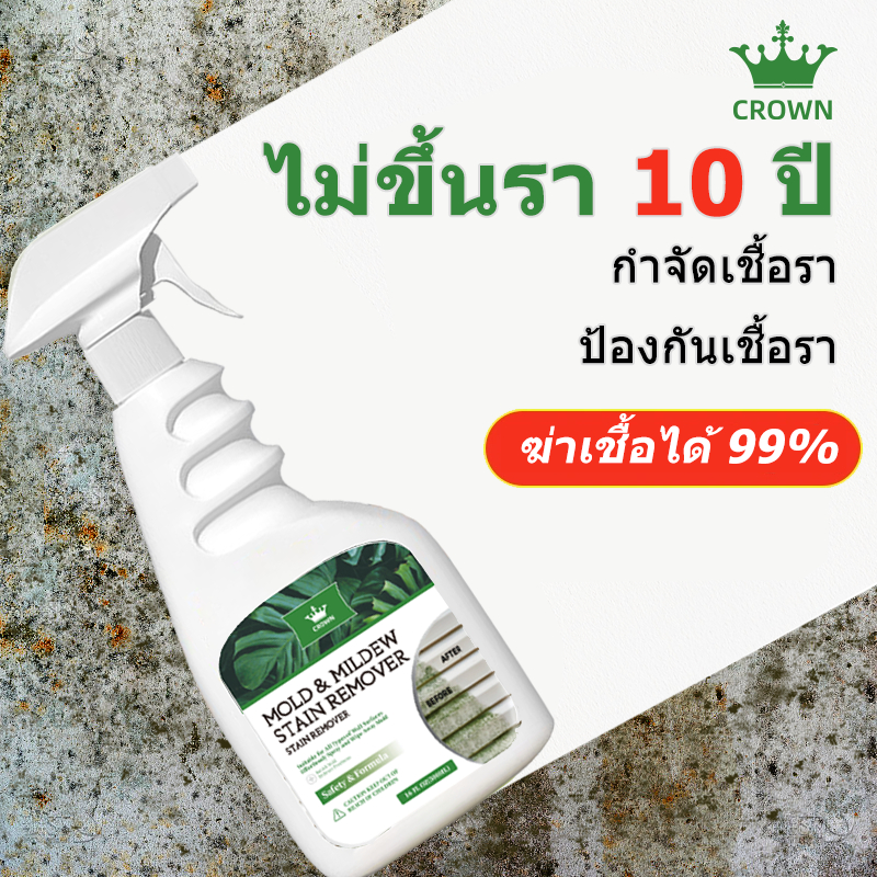 ROYZEN น้ำยาฆ่าเชื้อรา สเปรย์กำจัดเชื้อรา 500ML สเปรย์กำจัดคราบเชื้อรา น้ำยาเช็ดเชื้อรา ขจัดเชื้ออราอย่างรวดเร็ว