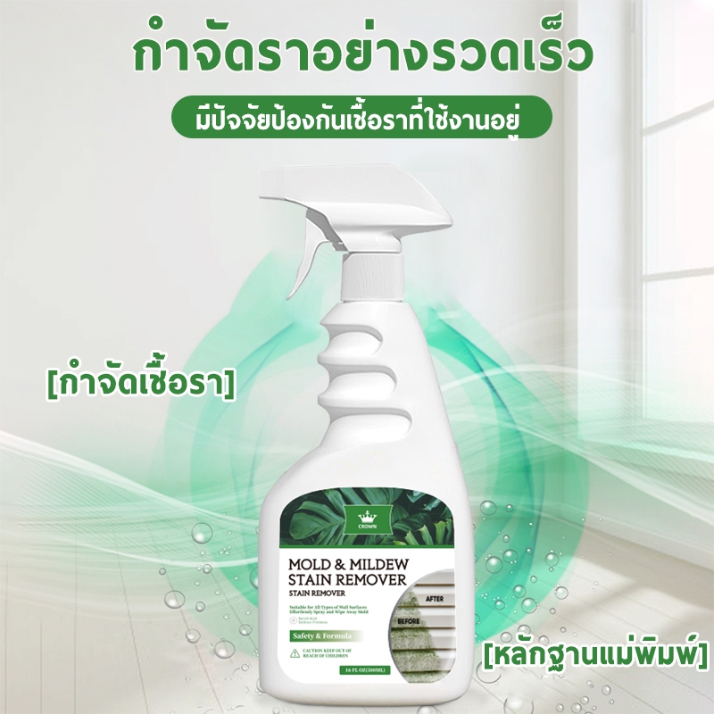 ROYZEN น้ำยาฆ่าเชื้อรา สเปรย์กำจัดเชื้อรา 500ML สเปรย์กำจัดคราบเชื้อรา น้ำยาเช็ดเชื้อรา ขจัดเชื้ออราอย่างรวดเร็ว